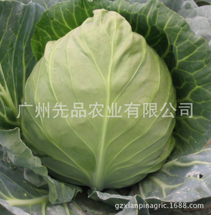 ޹ũԲʹ()