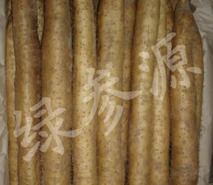 ̲ԴϰɽĶֲQQ921032800