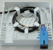 ϢFiberFaceplate