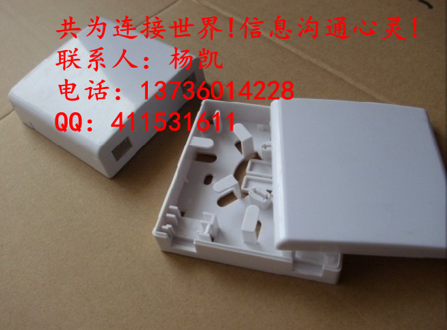 ֱFTTH˲