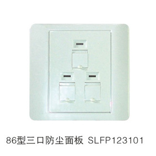 ڹϢϢ86ڷWSLFP123101