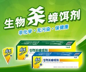 蟑螂、灭蟑螂、力岛、生物螂剂