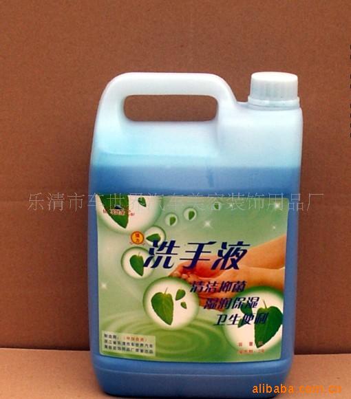 车先生菌洗手液5L