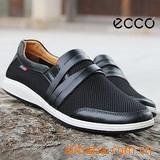 2010¿ECCO/͸ЬӢЬЬ