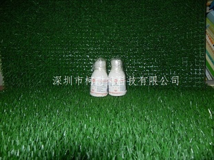 ѡ