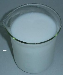 ϴúռѡ