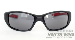 NorthWing۾̫