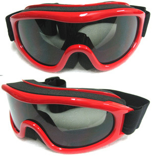 snowboardinggogglesinstock˫ѩ۾ѩ
