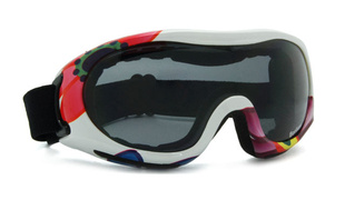 ̨ԭװѩCE/FDA2011¿SG191