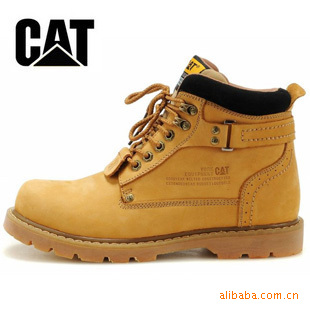CAT¿ЬЬѥӴͷƤЬ߰ŮЬ