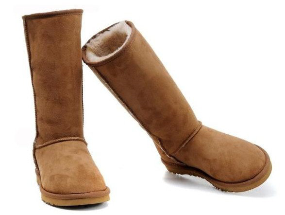Ӧѩѥ-ѩѥuggݳ