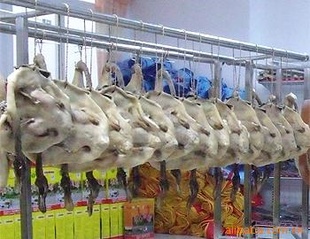 ϰѼ:аװ