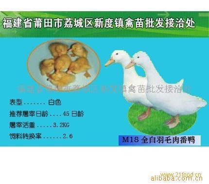 M18ȫëⷬѼ