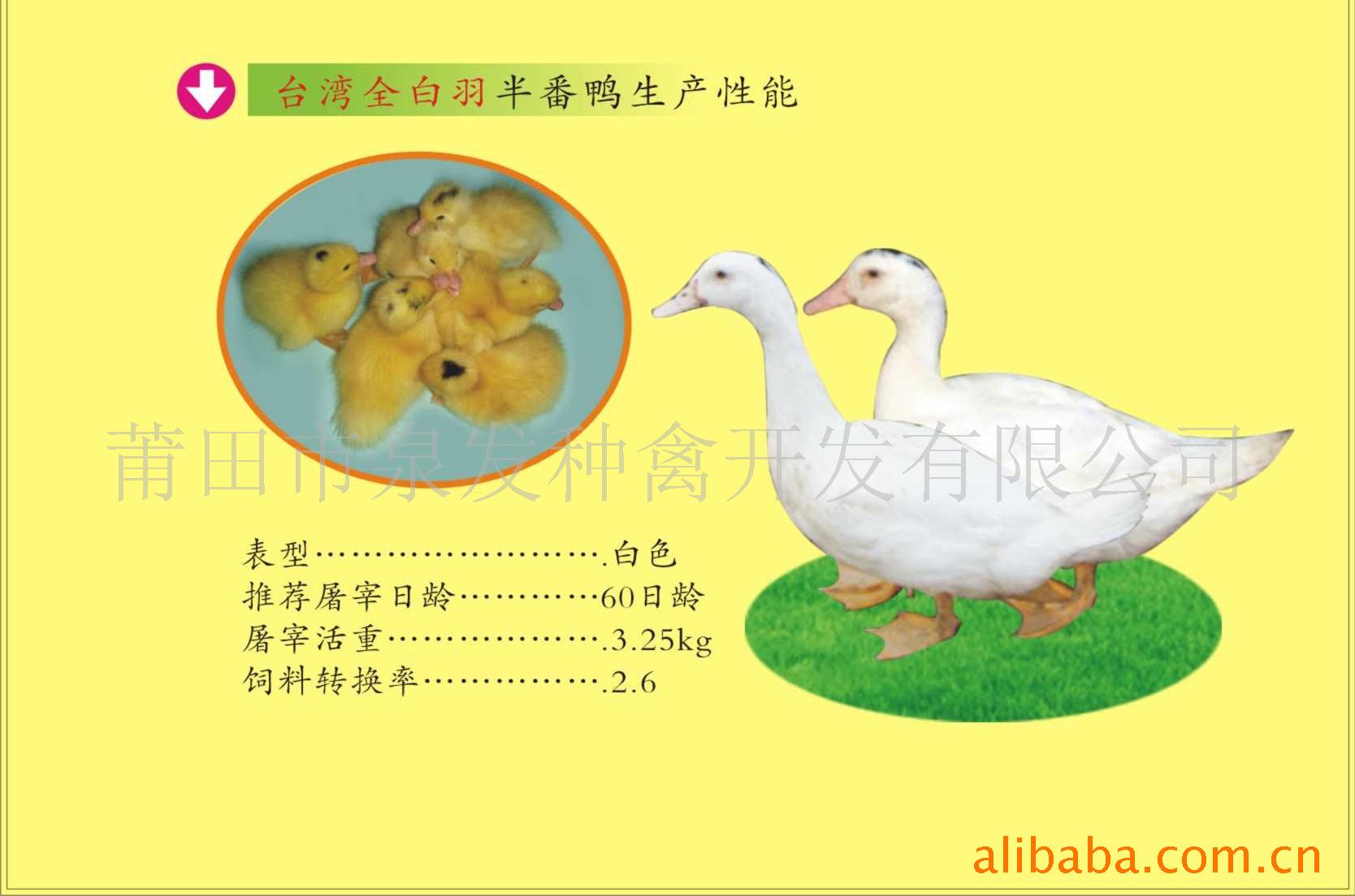 ̨ȫ뷬Ѽ