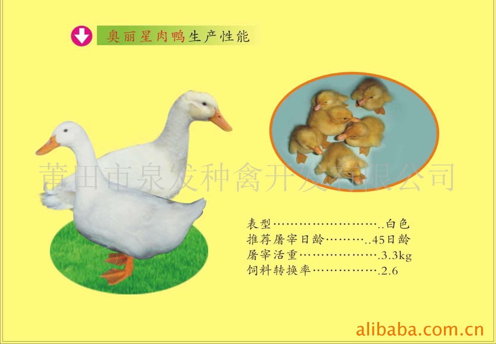 ӣҹѼ磬Ѽ뷬Ѽ