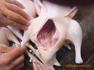 Ѽһ㻨Ѽ