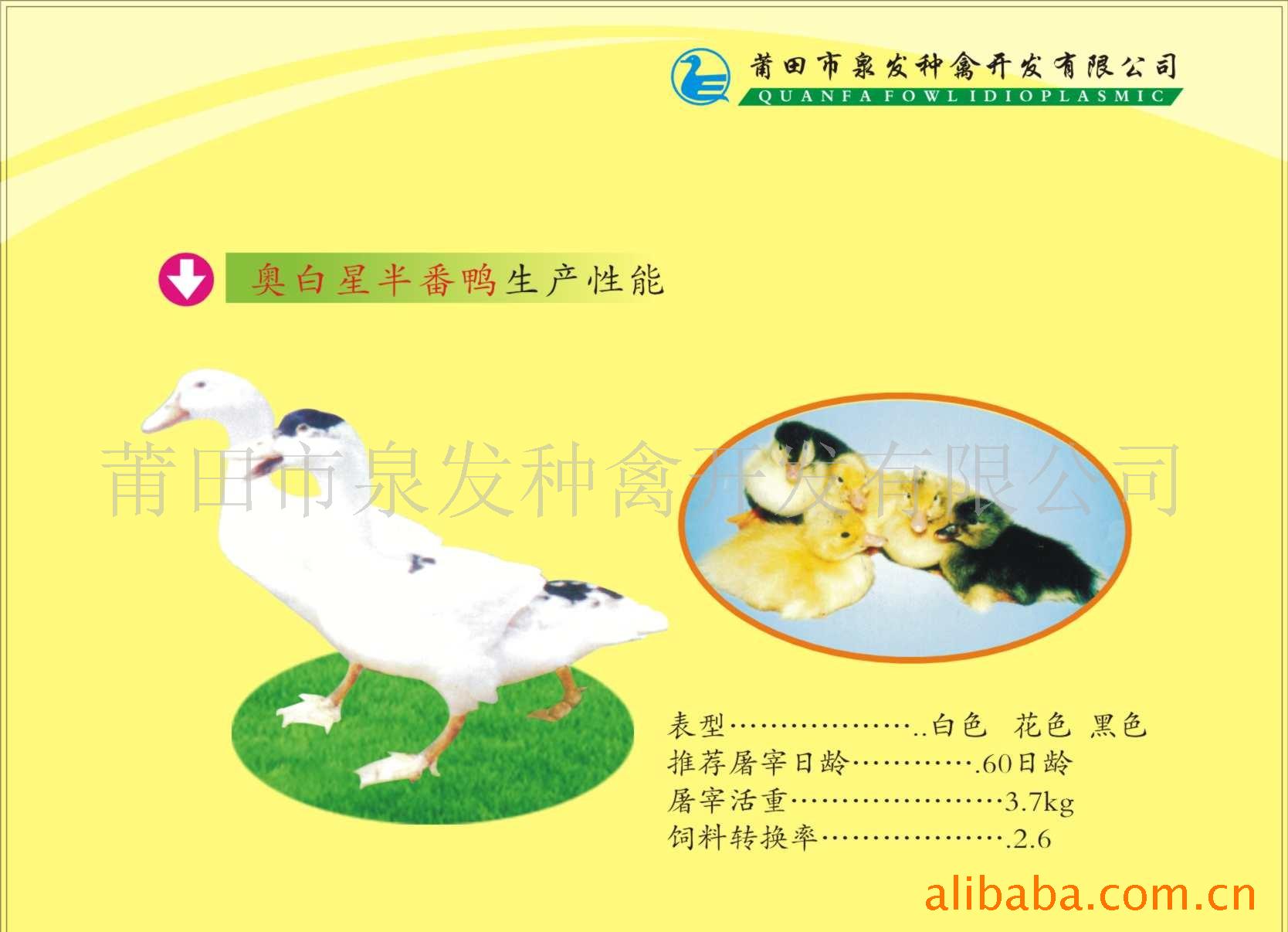 °ǰ뷬Ѽ(Ѽ)