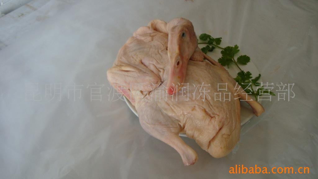 ʹѼ