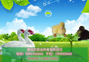 [2012Ʒ]ڰ׻Ѽ磨泧ֱ