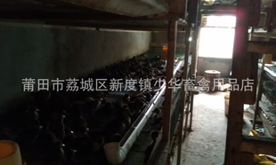 ֳڷ硣ֱڷѼ