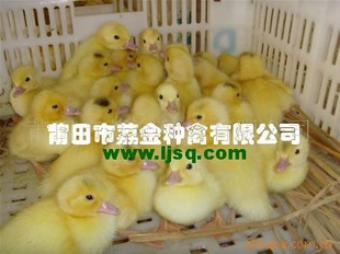 [ַֹĸ]Ѽ磨2012ȴУ