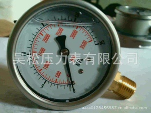 LALBֱʽͱʽѹ0-400Kg0-600kg