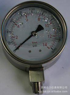 YB100ȫѹ/ѹ/WIKAѹ