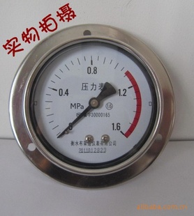 ؼƷǰѹYTF-100ZTѹ0*1.6Mpa