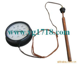 WTZ-288WTQ-288ϵѹʽָʽ