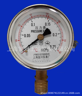 Y-60˫̶ѹ