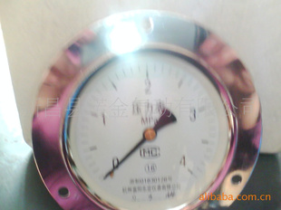 ͨѹY-40Y-60Y-100