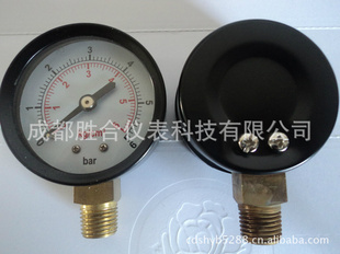 Y40-Y150轴向径向压力表