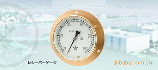 MIGISHITA½ռ