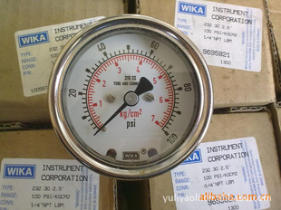 WIKA213.53.100/25MPG1/2
