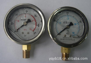MPA/PSI˫λѹ0-40MPA/5800PSI