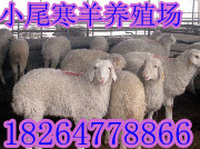 Ʒ˽һڵ