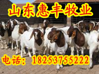 ĶСǮһֻ