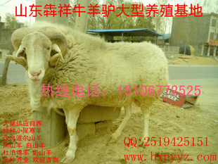 ũ崴Ŀзƶֳ۸ǰ