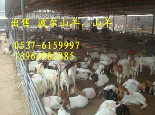 ũ崴ʺϣѧѡֳ