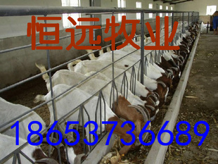 㶫ֳ۸Զӭѡ18653736689