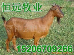 Ʒֳ֡£롣ϢƸ¸