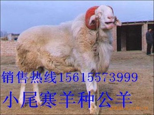 ɽŴֳӭʵؿ죬Ǣ̸