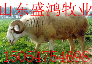 СβԳ----Գ귢ֳ֣.ɽʢ