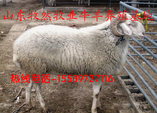 ĸж೤ʱ2013Сβ·Сβֳ