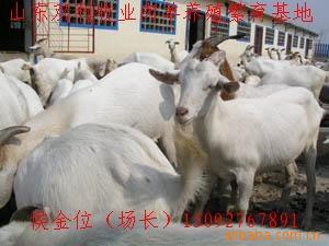 ũֳͶʳɱ