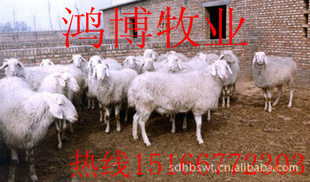 ƷСβǩɺͬ