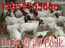 ĽܵǶ򼼵Ҫ