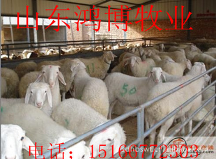 СβǮһֻСβǮһ2012Сβ۸