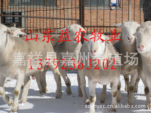 2012Ʒ֣Ų