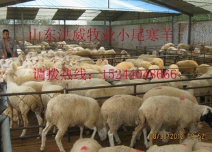 ʡģط硷ļ۸Ƿ